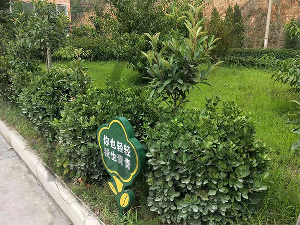 公司风貌（九）