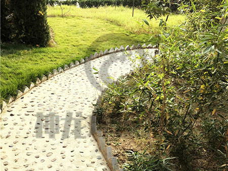 公司风貌（十二）