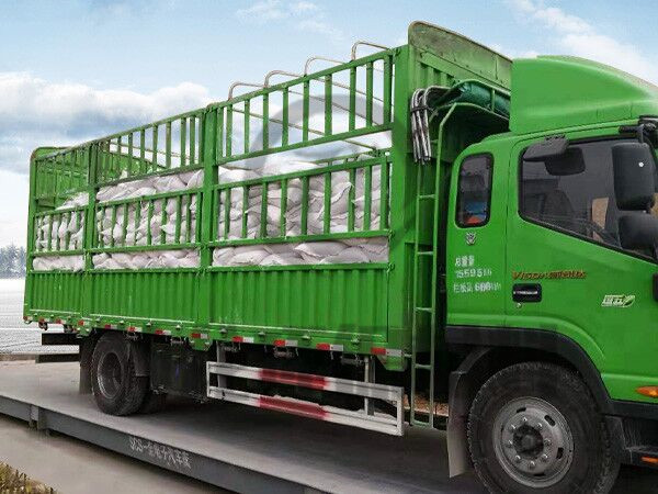 袋装运输（十三）