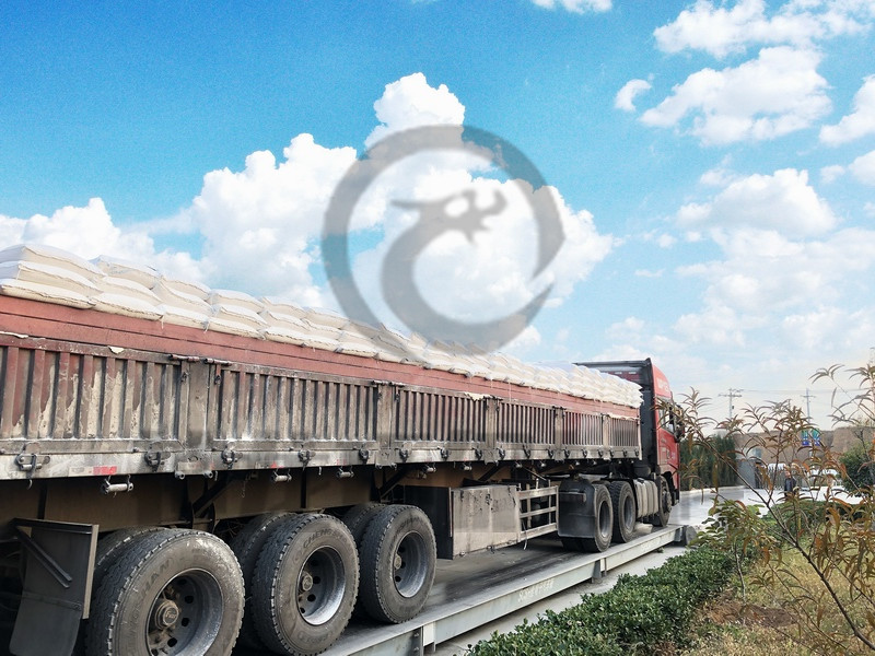 袋装运输（十八）